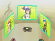 PROGRESS PET HOLOSCREEN