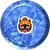 090Shellder3