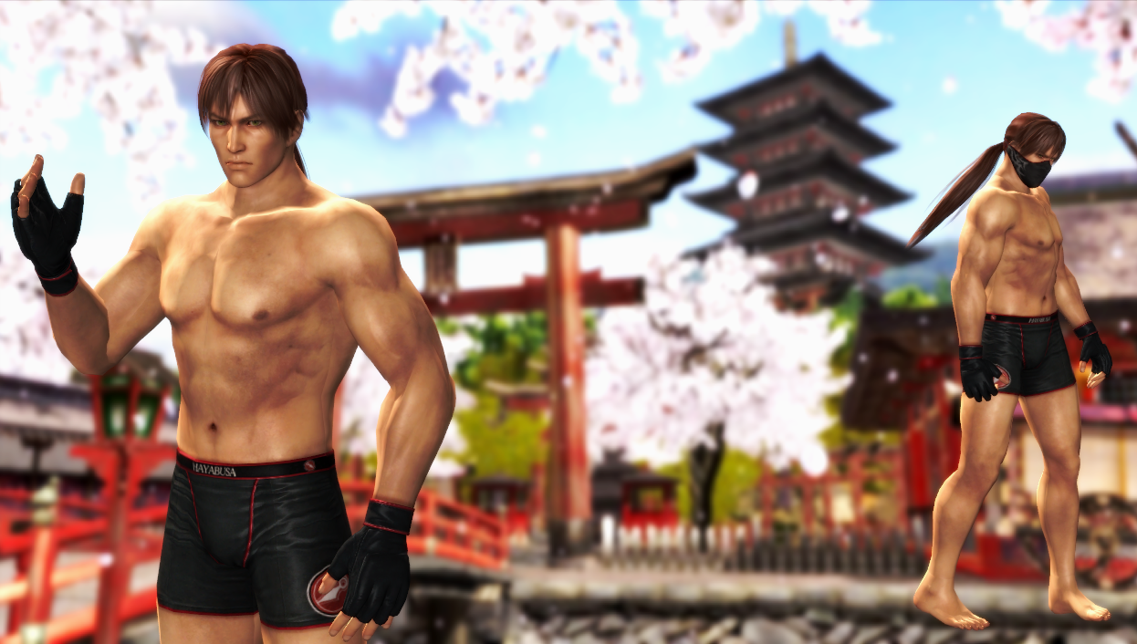 DOA5_Ryu_Hayabusa_Fighter_Pack_DLC.png