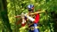 KyoryuNavy (II)