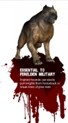 Dog Blurb