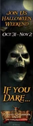 Vertical Banner 3