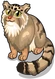 Pallas cat single