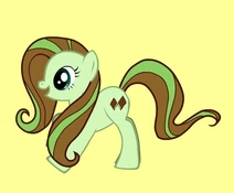 Choc Mint