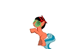 Rowan Odom pony