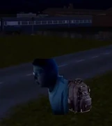 LeopoldBackpack