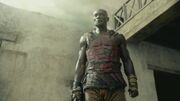 Oenomaus-doctore