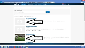 Wikia search box 001