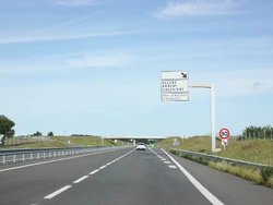 N147 (11)