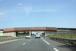 N147 (9)