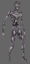 NwN Ghast