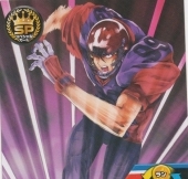 Trading-cards-the-card-stadium-scans 1848926-L
