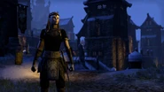 Nord in Eastmarch