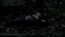 Luna's Death