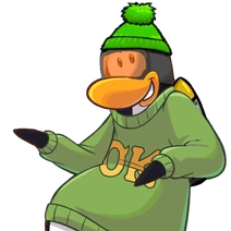 Helmetpig OK Team