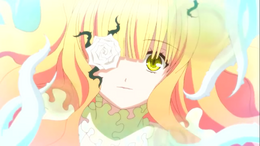 Forum Image: http://images2.wikia.nocookie.net/__cb20130712011716/rozenmaiden/images/thumb/6/6b/Kirakisho_2013.png/260px-Kirakisho_2013.png