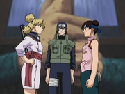 Tenten vs. Temari