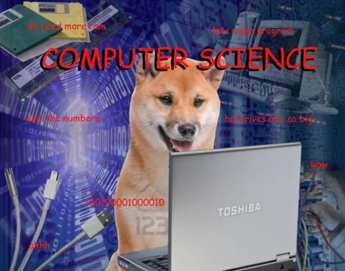 Doge.jpg