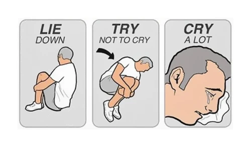 500px-Lie_down_try_not_to_cry_cry_a_lot_