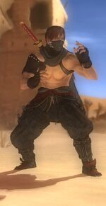 150px-DOA5U_Hayabusa_C6.jpg