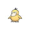 Psyduck XY