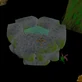 Stranded+2+master+of+the+woods+mod