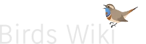 Birds Wiki