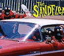 The Sandfleas