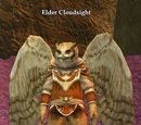Elder Cloudsight