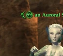 An Auroral Selkie
