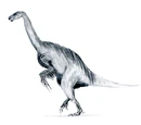 1980 in paleontology