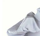 The Swedish Chef