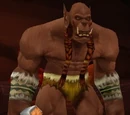 Braagor