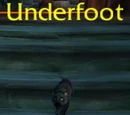 Underfoot