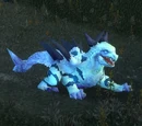 Warp Hunter