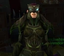 Gladiator's Vestments