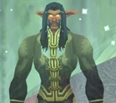Elder Nightwind
