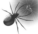 Giant spider