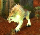 Rabid Crag Coyote