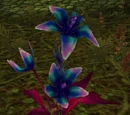 Corrupted Songflower