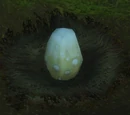 Hippogryph Egg