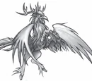 Hippogryph