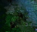 Boughs of Azshara
