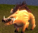 Mangy Mountain Boar