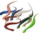 Snake