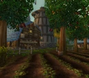 Hillsbrad Fields