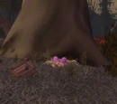 Dart's Nest