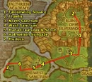 Powerlevel Eversong Woods