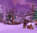 Winterfall Village