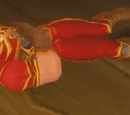 Ranger Vedoran